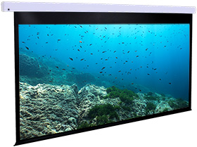 Dragonfly™ Motorized 130 in. Matte White Projection Screen (16:9 Aspect Ratio)