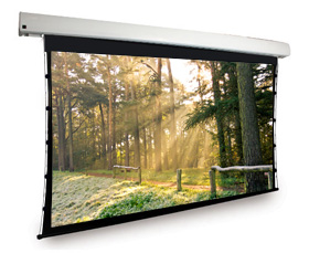 Dragonfly™ Motorized Tab Tension 100 in. High Contrast Projection Screen (16:9 Aspect Ratio)