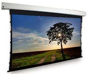 Dragonfly™ Motorized Tab Tension 130 in. Matte White Projection Screen (16:9 Aspect Ratio)