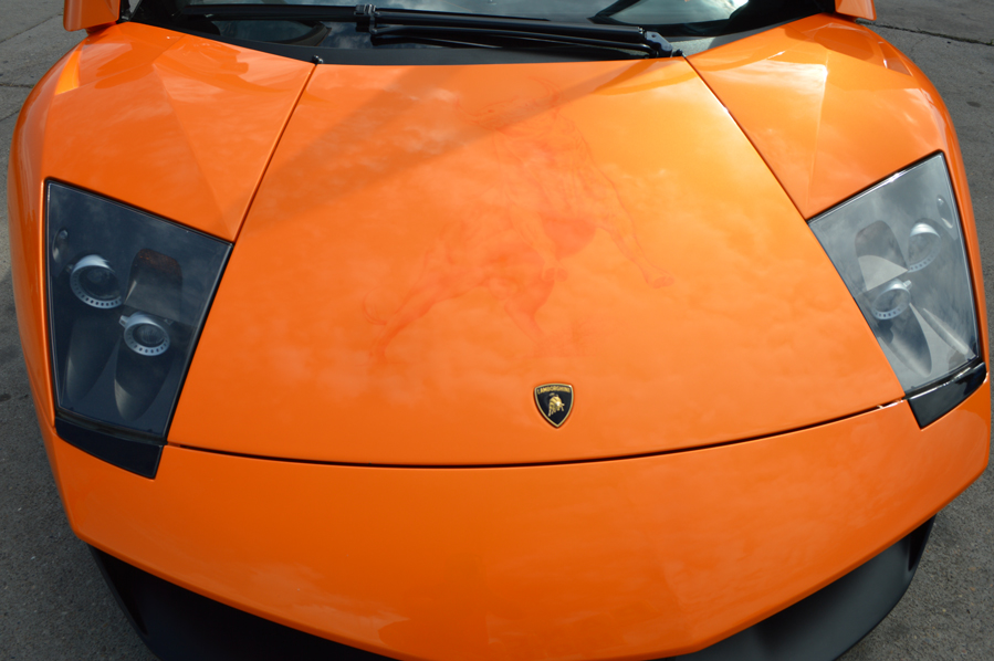 Lamborghini Customization